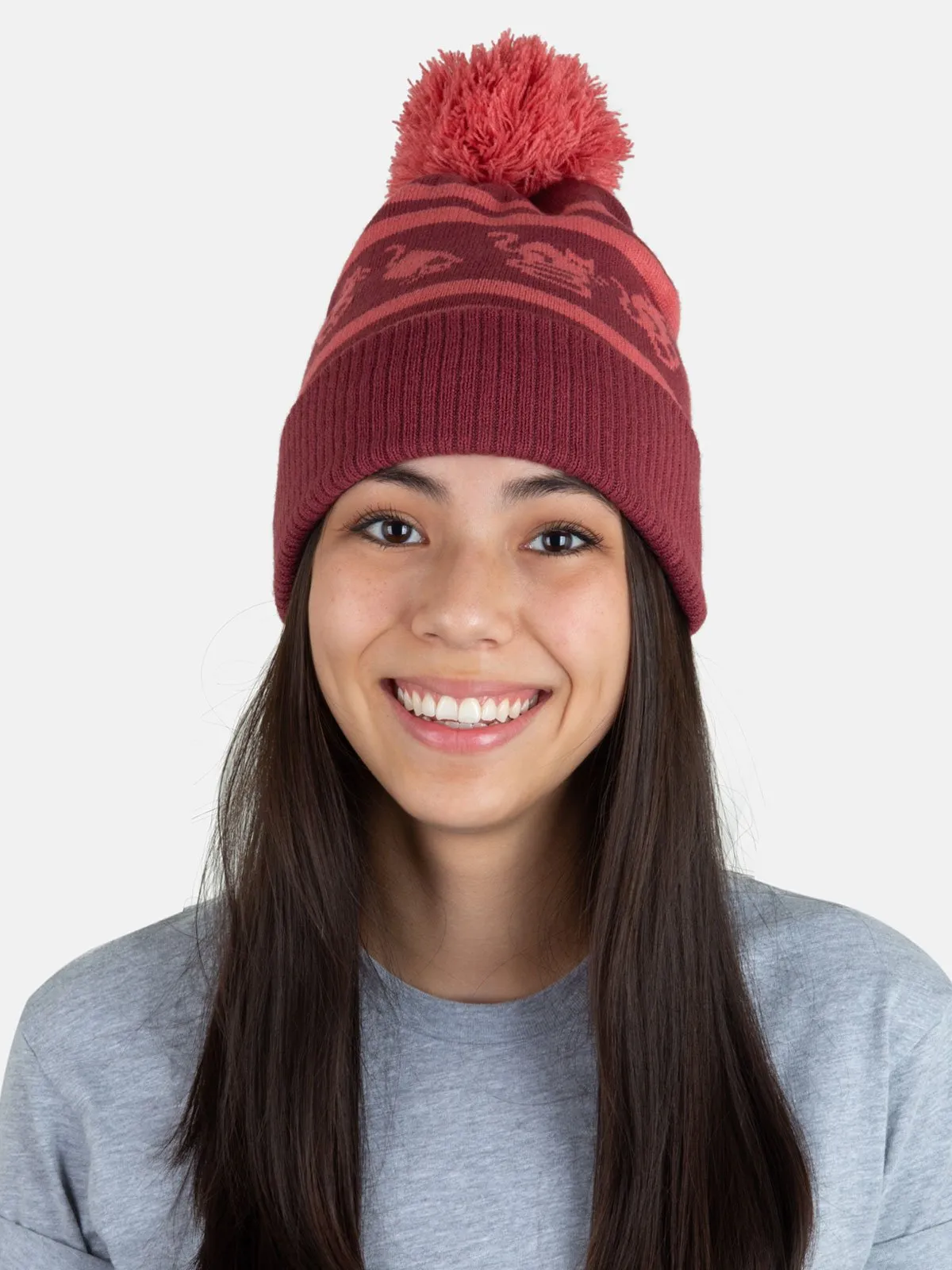 Cats and Stacks beanie