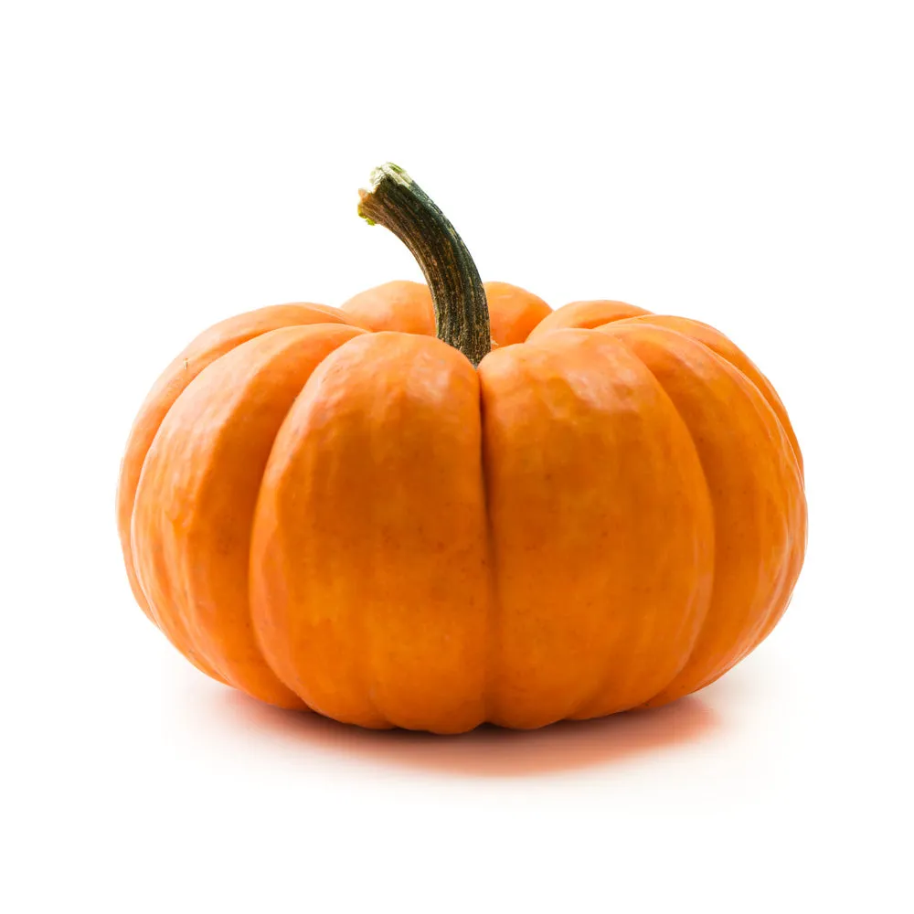 Fresh miniature pumpkins