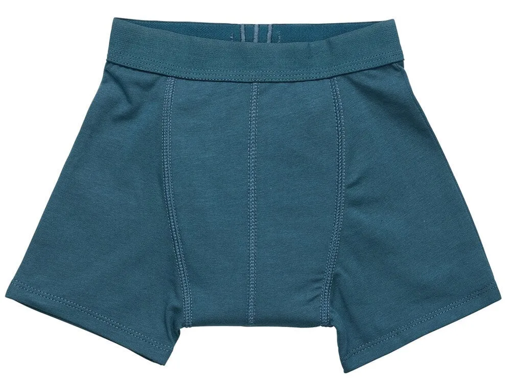 Snazzi Pants Night Trainers (Boys)
