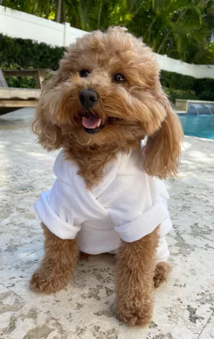 Surf Souleil Beach Poochie Terry Doggy Kimono
