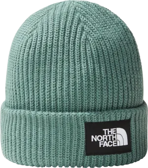 The North Face Salty Dog Lined Beanie Dark Sage | Buy The North Face Salty Dog Lined Beanie Dark Sage here | Outnorth