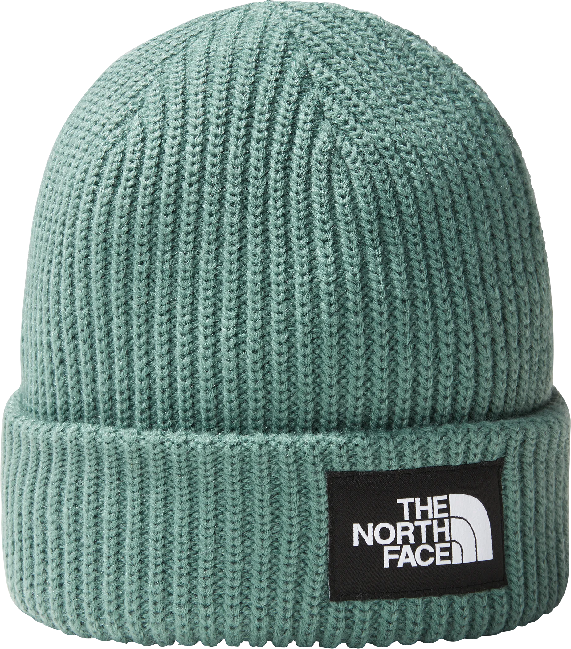 The North Face Salty Dog Lined Beanie Dark Sage | Buy The North Face Salty Dog Lined Beanie Dark Sage here | Outnorth