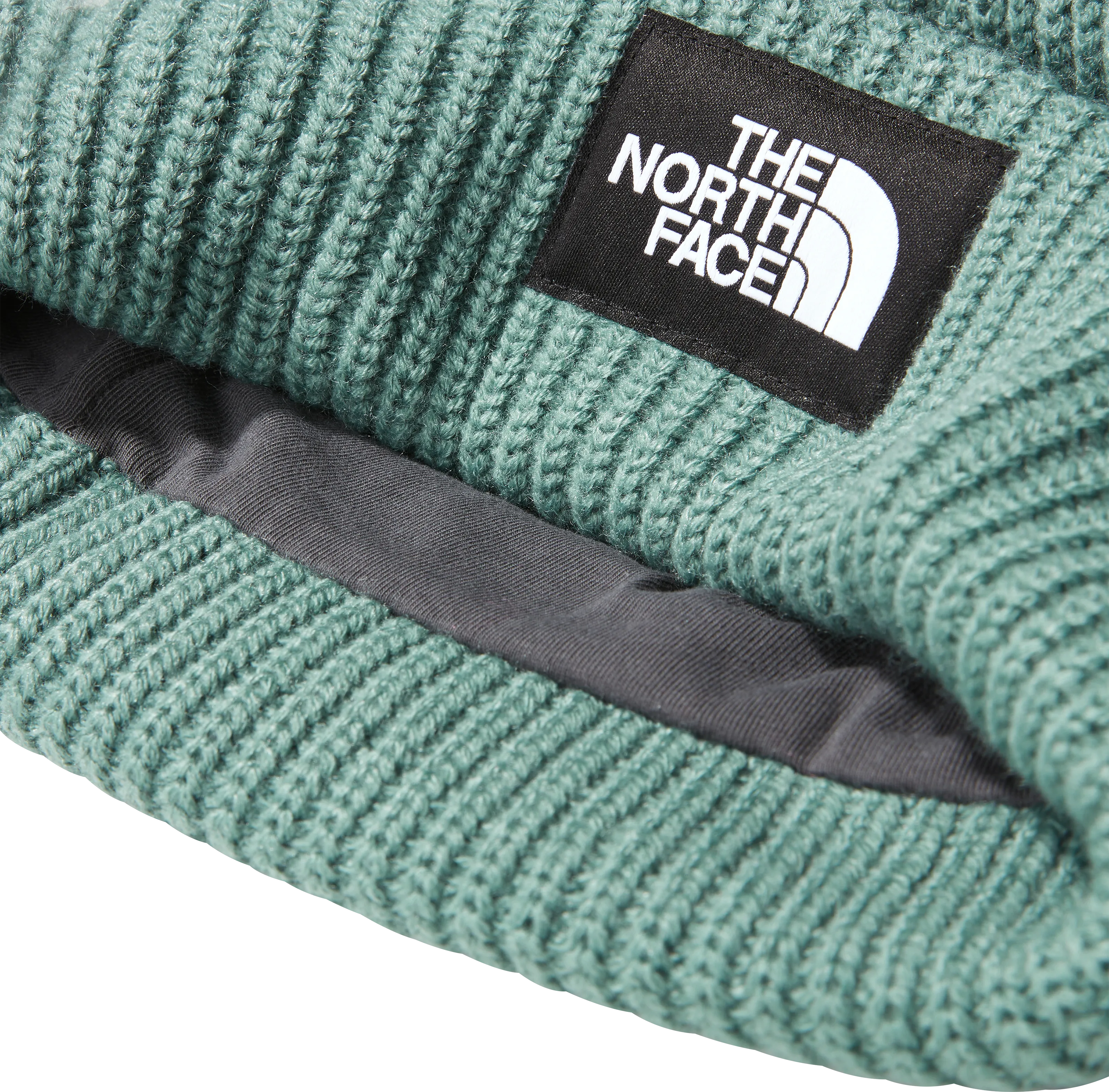 The North Face Salty Dog Lined Beanie Dark Sage | Buy The North Face Salty Dog Lined Beanie Dark Sage here | Outnorth