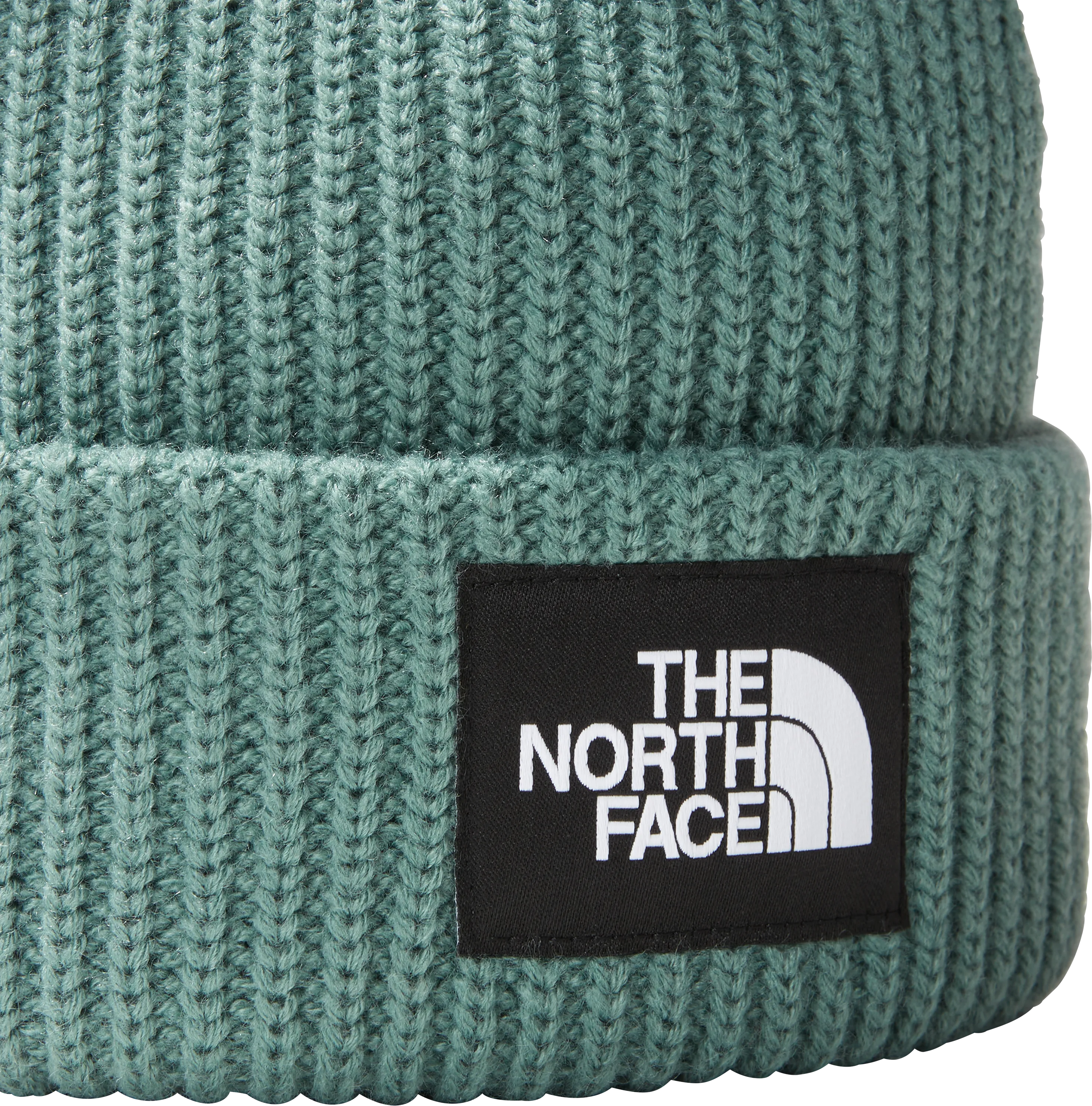 The North Face Salty Dog Lined Beanie Dark Sage | Buy The North Face Salty Dog Lined Beanie Dark Sage here | Outnorth