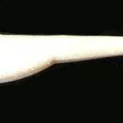 Yamamoto D Shad